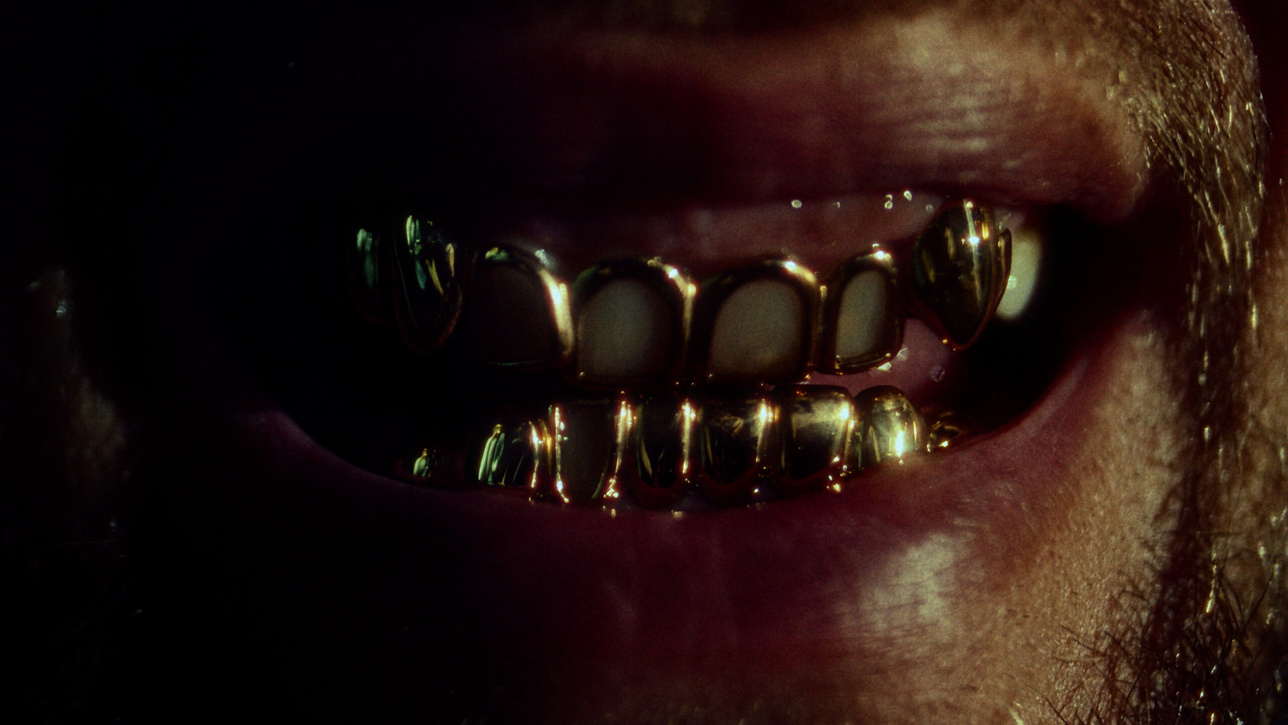 SAID_GAUNAZPARADISE_006