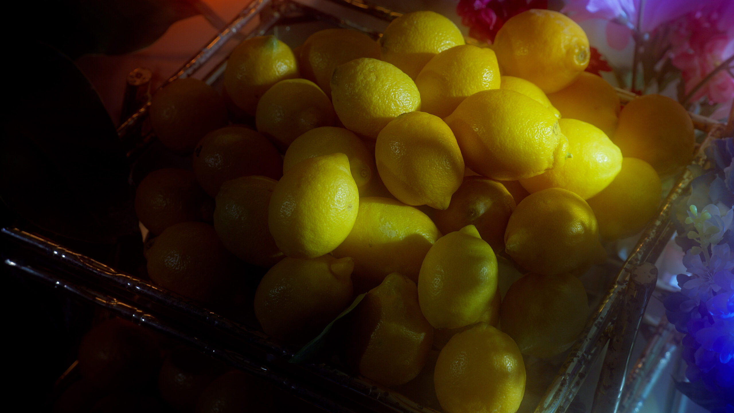 SOLARRIO_SOMANYQUESTIONS_TN_001