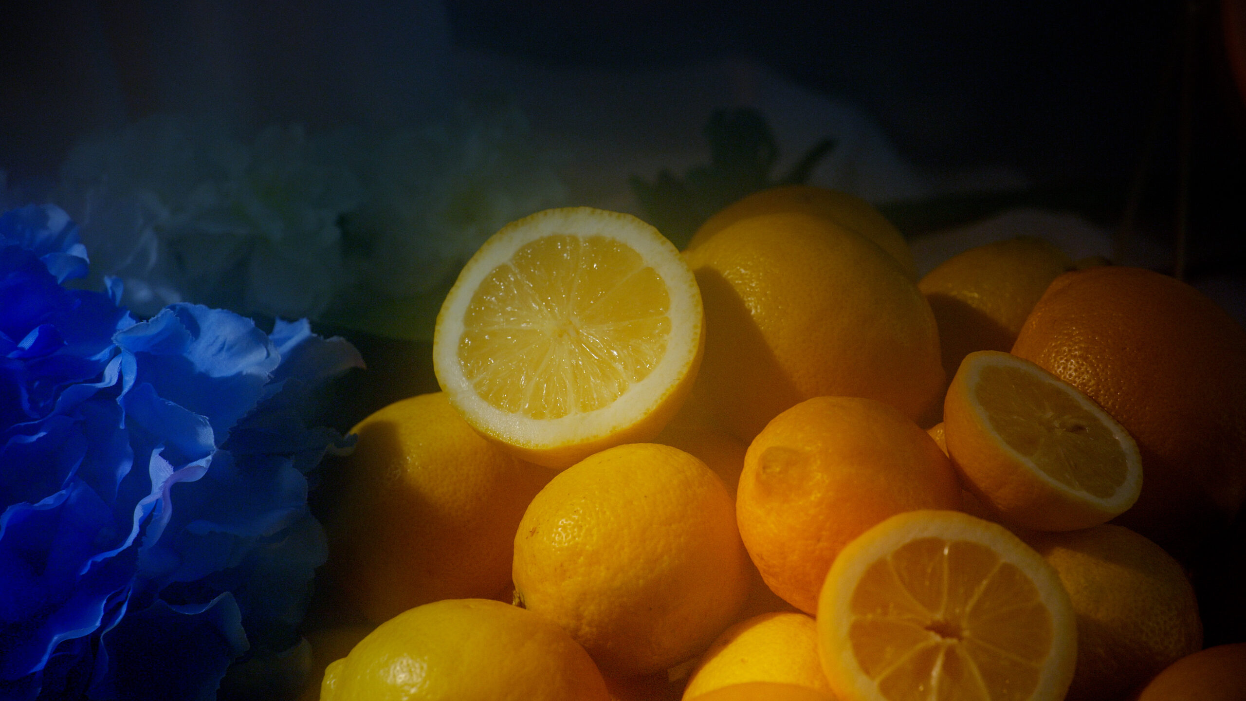 SOLARRIO_SOMANYQUESTIONS_TN_010